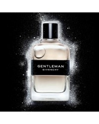 Gentleman Givenchy Perfume Masculino - Eau de Toilette - 100ml