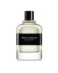 Gentleman Givenchy Perfume Masculino - Eau de Toilette - 100ml