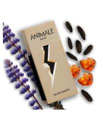 Animale Gold Animale - Perfume Masculino - EDT - 100ml