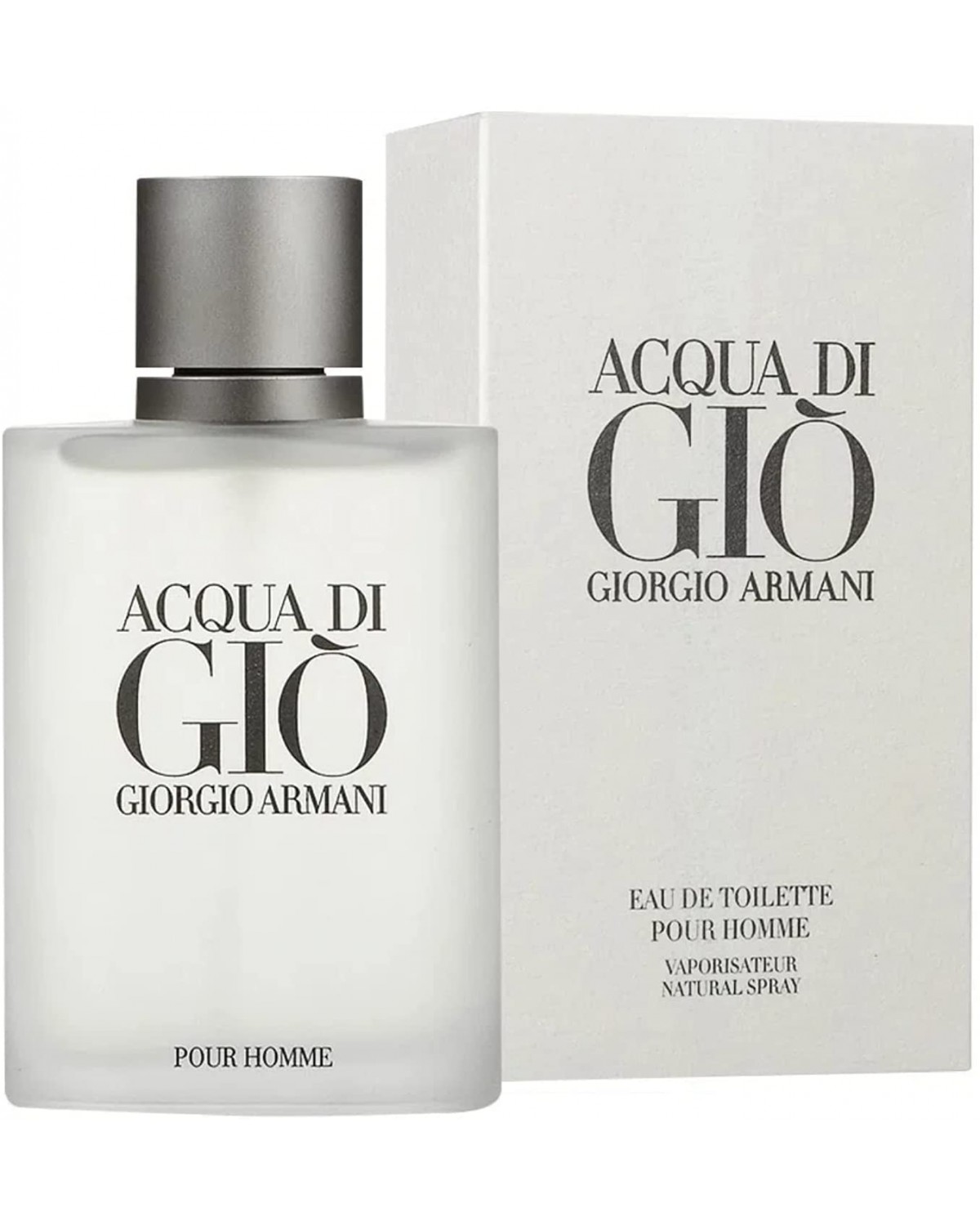 Acqua Di Giò Homme Giorgio Armani - Perfume Masculino - Eau de Toilette - 100ml