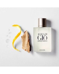 Acqua Di Giò Homme Giorgio Armani - Perfume Masculino - Eau de Toilette - 100ml