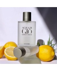 Acqua Di Giò Homme Giorgio Armani - Perfume Masculino - Eau de Toilette - 100ml